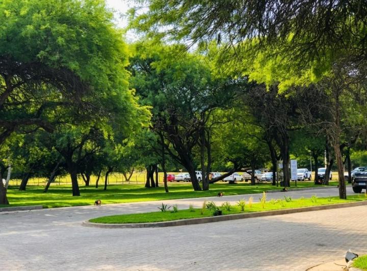 Terreno · 1200m²