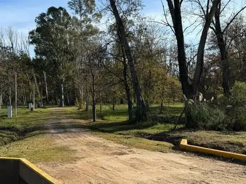 Terreno en Venta en Los Pinos, Exaltación de la Cruz