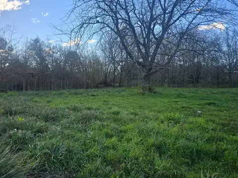 Terreno en Venta en Los Pinos, Exaltación de la Cruz