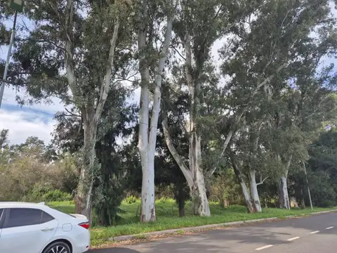 Terreno en Venta en La Reserva Cardales, Countries y Barrios Cerrados en Campana