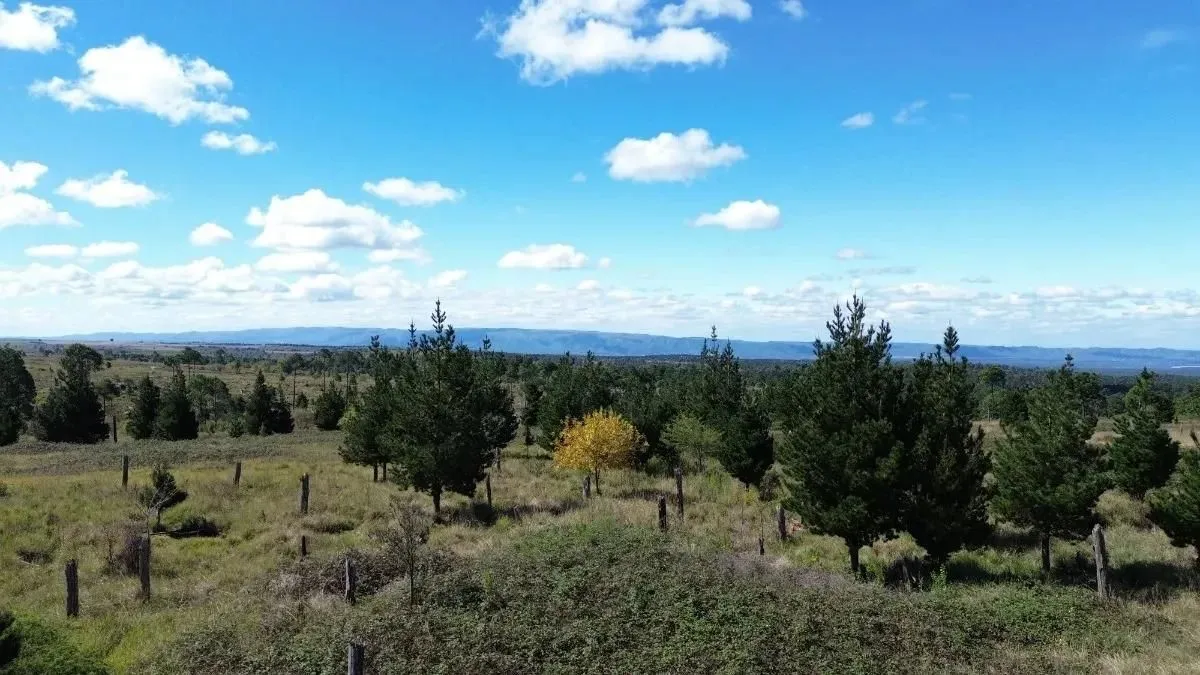 Yacanto 2.1 Ha