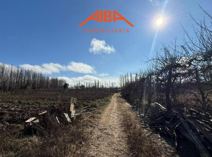 Campo · 40000m²