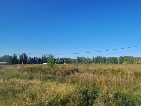 Terreno en Alquiler en Luján de Cuyo, Mendoza