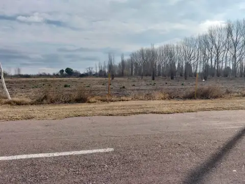 Terreno en Venta en Bowen, General Alvear