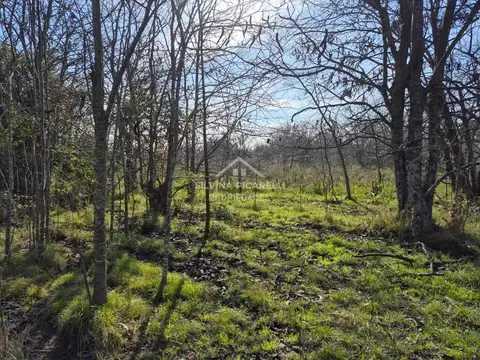 Campo en Venta en Open Door, Partido de Luján