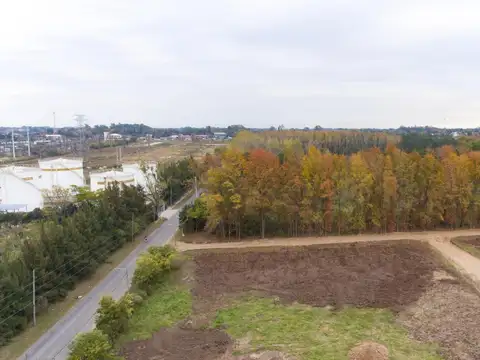 Terreno en Venta en Garin-El Triangulo, Garin