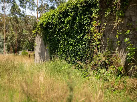 Terreno en Venta en Miramar, Partido de General Alvarado