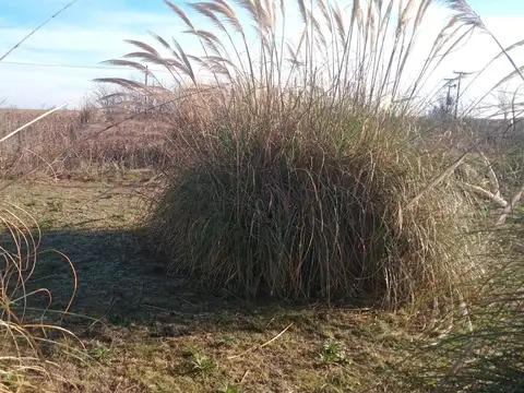 Terreno en Venta en Junín, Partido de Junín