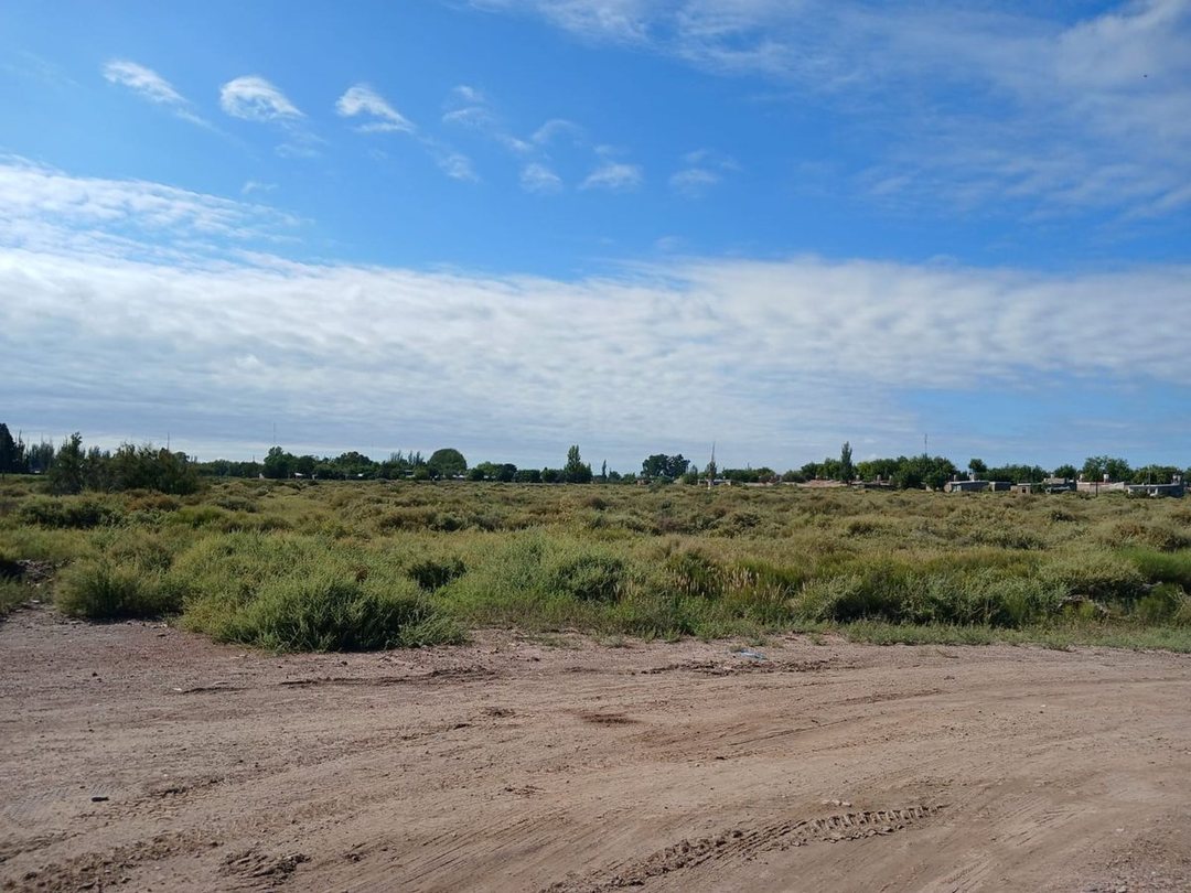 Venta Lote 2ha apto desarrollo San Martin Mendoza
