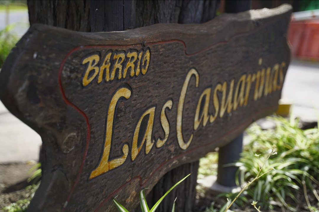 Lote 314 m²  venta Parque Las Casuarinas Del Viso