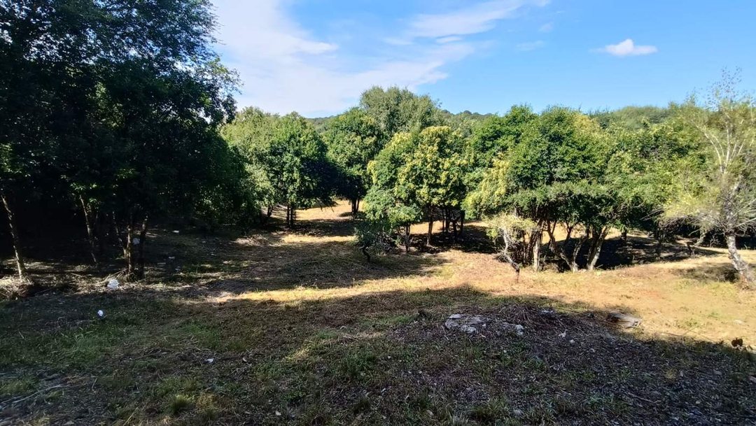 VENTA LOTE DE 2088 M2 TIERRA ALTA ALAMBRADO