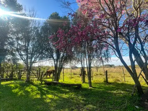 Campo en Venta en Libertador, Esquina