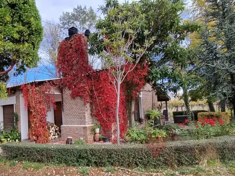 Campo en Venta en Allen, General Roca