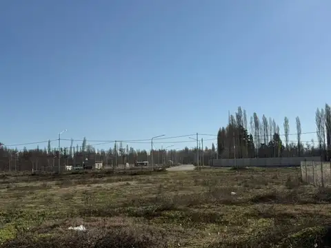 Terreno en Venta en Plottier, Confluencia
