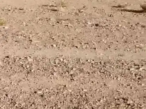 Terreno en Venta en Uspallata, Las Heras