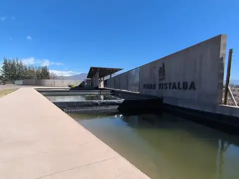 Terreno en Venta en Vistalba, Luján de Cuyo