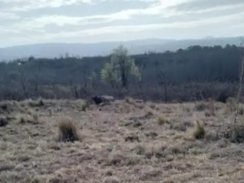 Terreno en Venta en Yacanto Calamuchita, Calamuchita