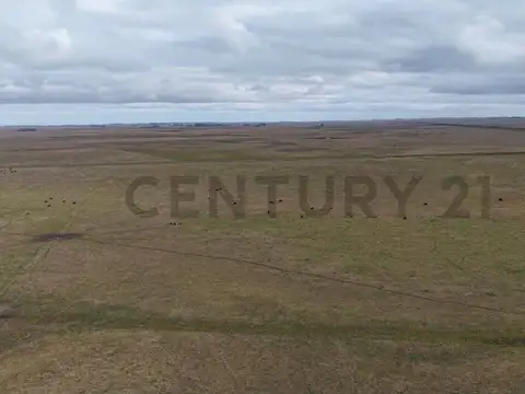 Campo en Venta en General Piran, Partido de Mar Chiquita