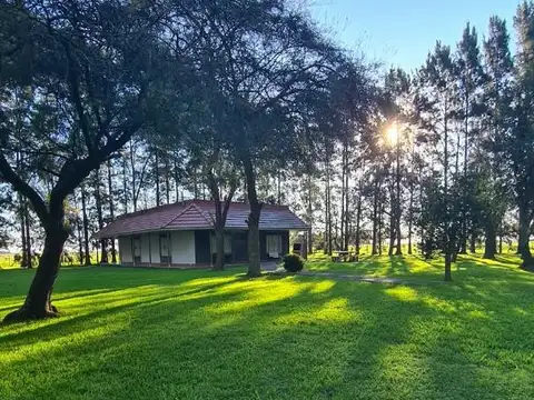 Campo en Venta en Domselaar, Partido de San Vicente