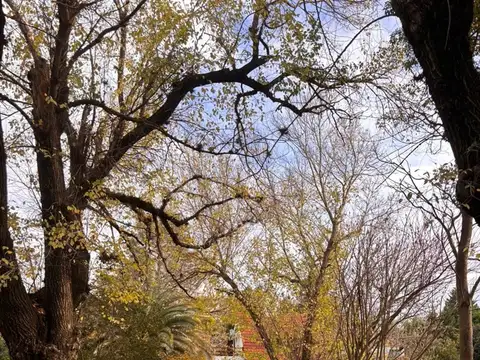 Terreno en Venta en El Bosque, Countries y Barrios Cerrados en Campana