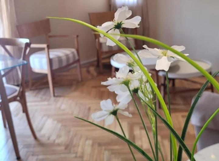 Departamento · 62m² · 3 Ambientes