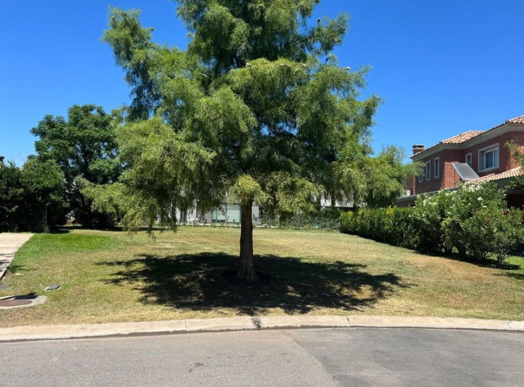 VENTA LOTE CENTRAL AYRES PLAZA- COMUNIDAD 10