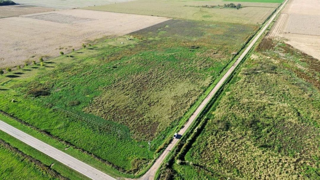 EN VENTA CAMPO 11,5 HECTAREAS 100% AGRICOLA