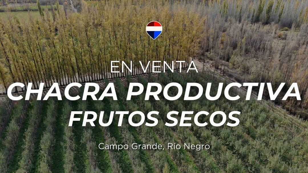 CHACRA PRODUCTIVA EN VENTA 29HA