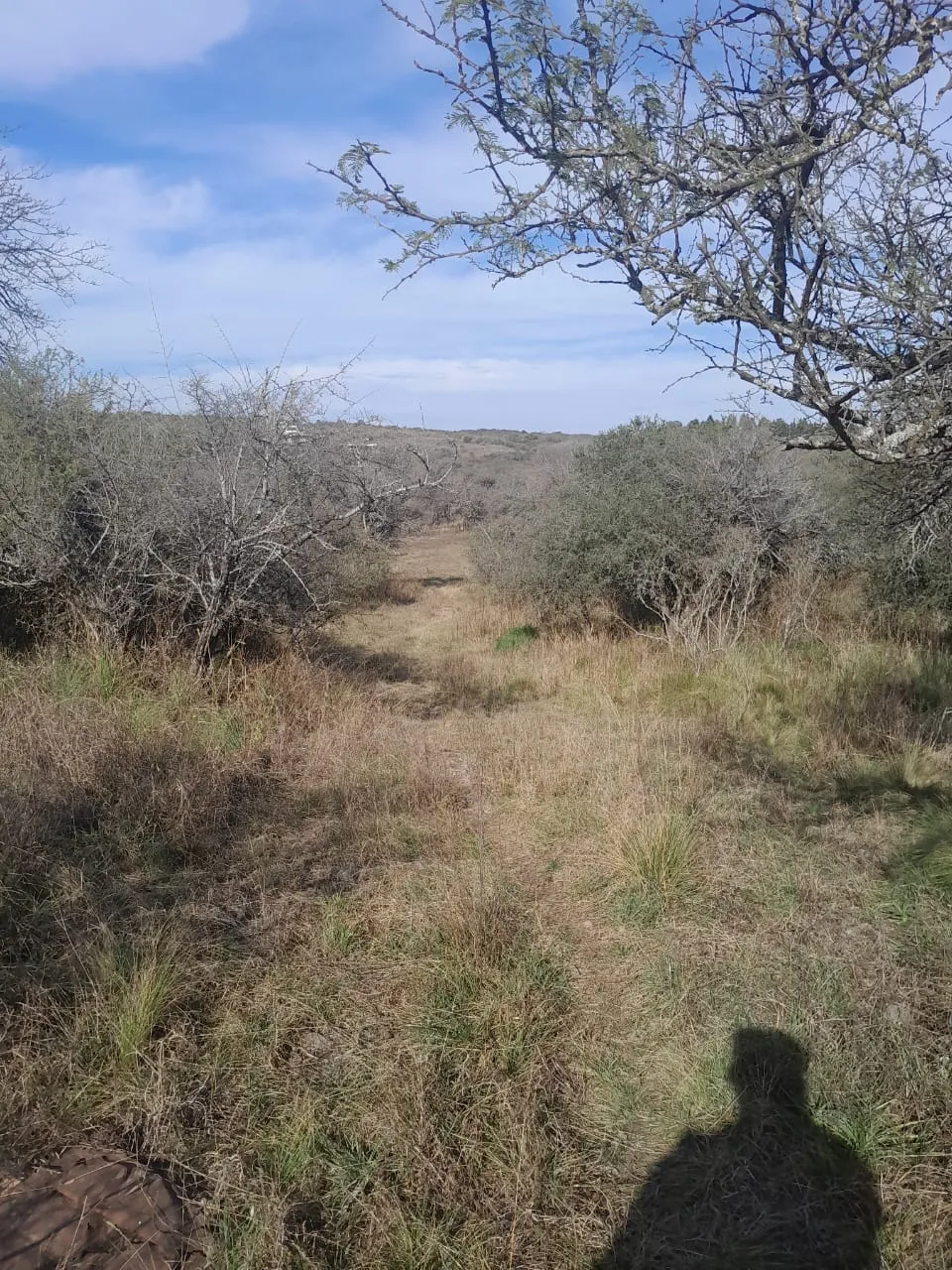 Venta terreno 10.000 m2 Las vertientes de LA GRANJA