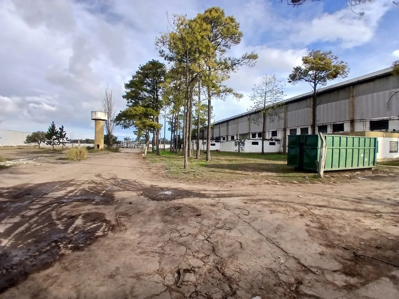 VENTA PREDIO INDUSTRIAL 22.345 M² + 2.982 M² CUBIERTOS | GRAL. SAVIO | FERREYRA