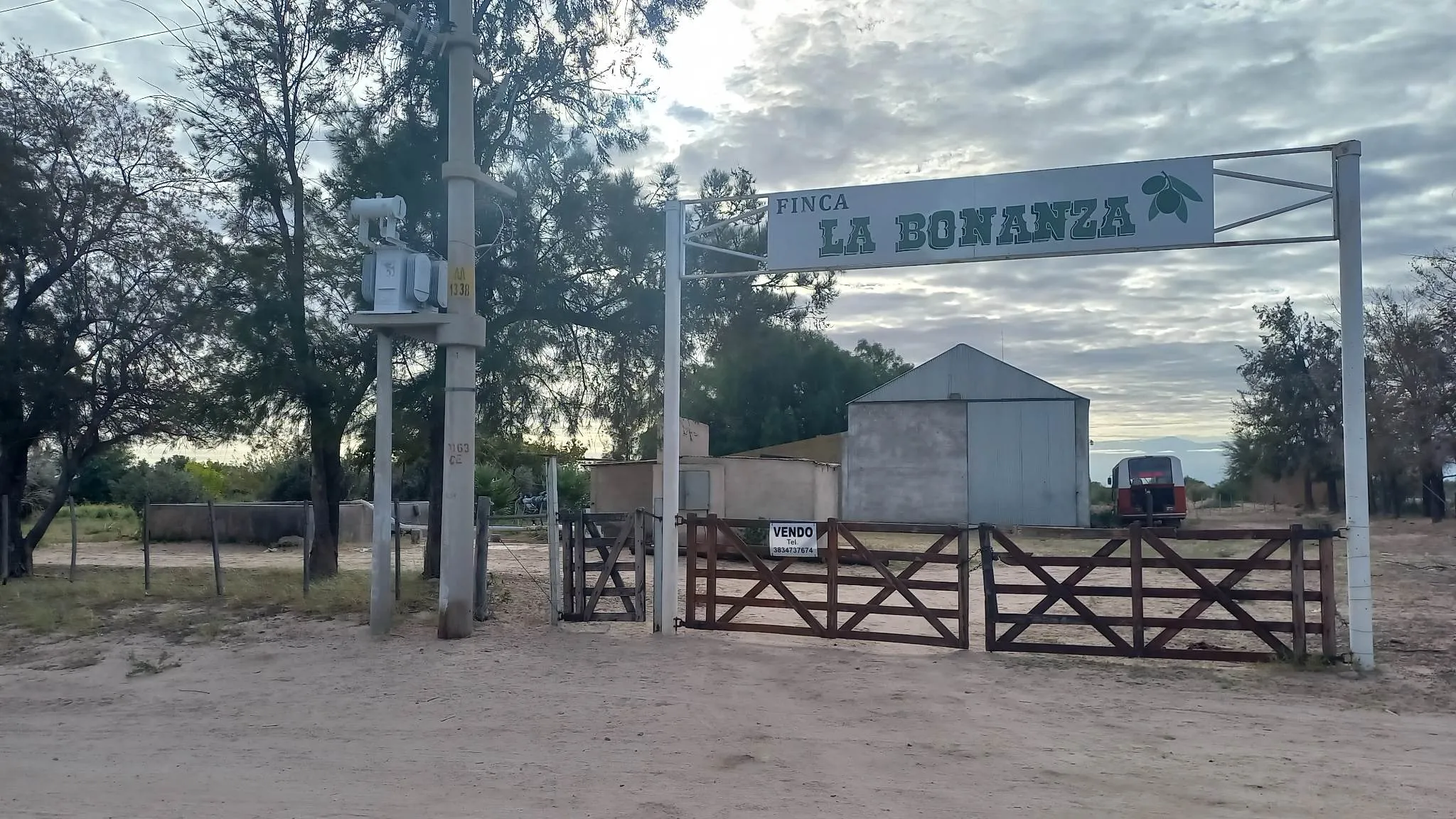 55 HECTAREAS CON OLIVOS EN AIMOGASTA LA RIOJA VENDO