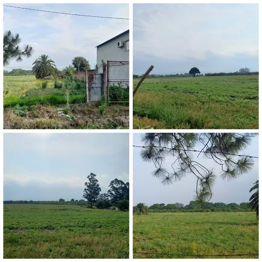 20 HECTAREAS AGRICOLAS EN TAFI VIEJO PARA DESARROLLO INMOBILIARIO