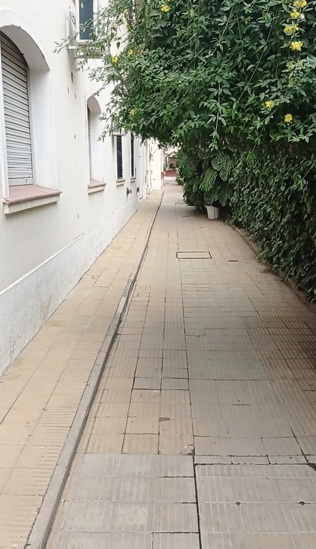 SE VENDE DEPARTAMENTO DE TRES (3) HABITACIONES - REBAJADO - OPORTUNIDAD USD 65.000 -  A DOS CUADRAS DE TRIBUNALES I Y DEL PASEO SOBREMONTE