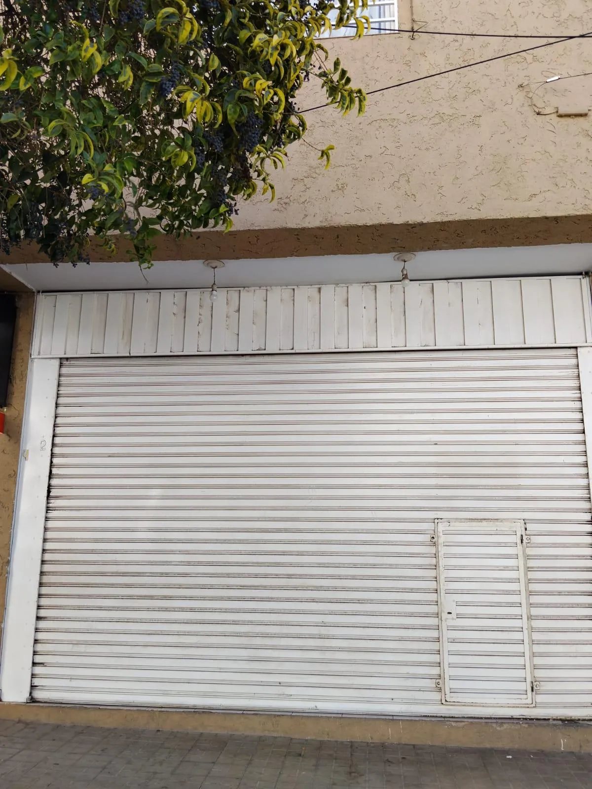 LOCAL EN ALQUILER EN ARTURO ORGAZ