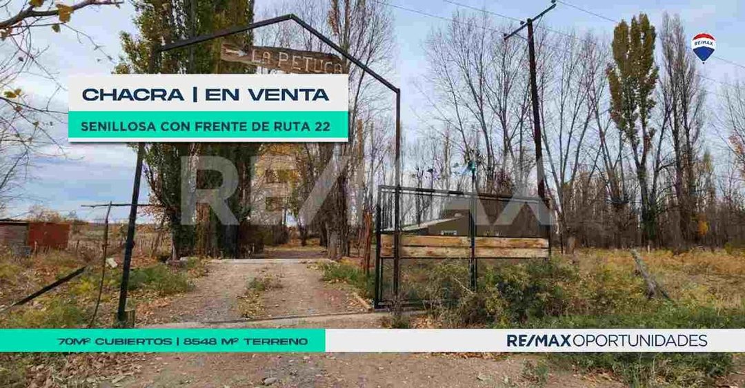 MACROLOTE CON CASA - FRENTE DE RUTA 22 - SENILLOSA