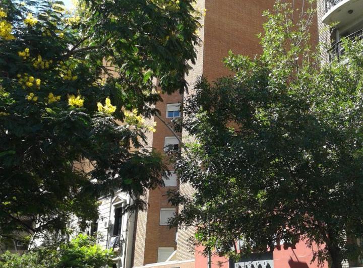 Departamento · 45m² · 3 Ambientes