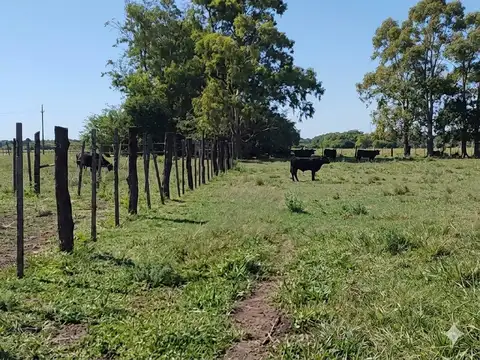 Campo en Venta en Concepción del Uruguay, Uruguay