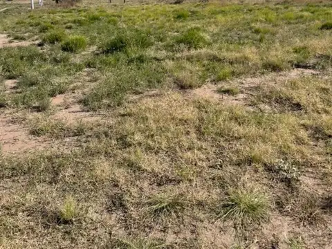 Terreno en Venta en Santa Rosa, Capital