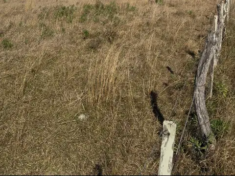 Terreno en Venta en Colonia Carolina, Goya