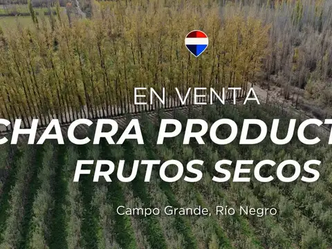 Campo en Venta en Sargento Vidal, General Roca