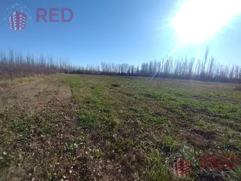 Terreno en Venta en Cervantes, General Roca