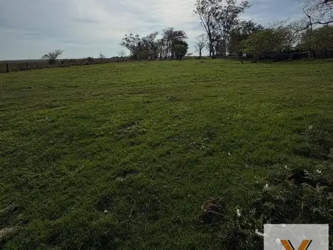 Campo en Alquiler en Alumine, Aluminé