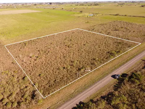 Campo en Venta en Villa Elisa, Colón