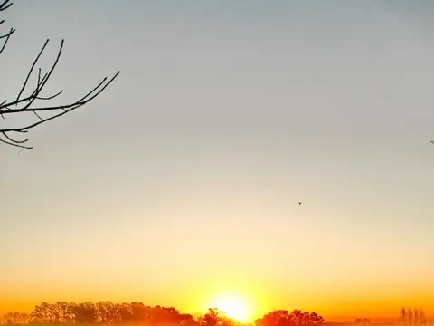 Campo en Venta en Colonia Elia, Uruguay