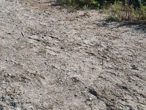 Terreno en Venta en Los Corralitos, Guaymallén