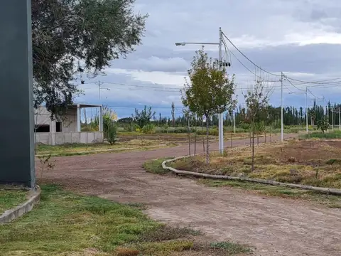 Terreno en Venta en Los Corralitos, Guaymallén