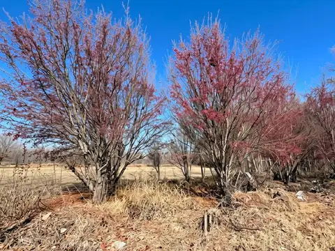 Terreno en Venta en Totoral, Tunuyán