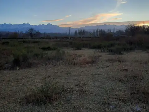 Terreno en Venta en Colonia las Rosas, Tunuyán