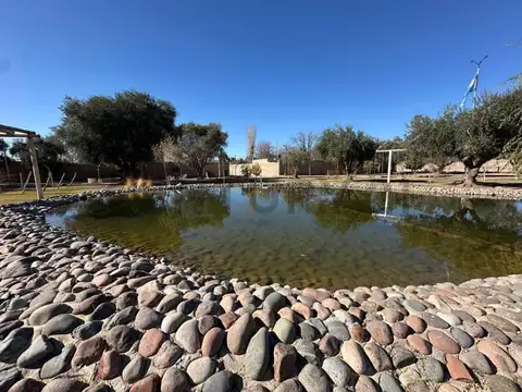 Quinta en Venta en Jesús Nazareno, Guaymallén