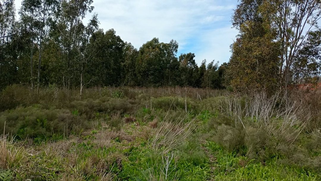 4.5 HECTARIAS EN VENTA EN VILLA GARIBALDI
